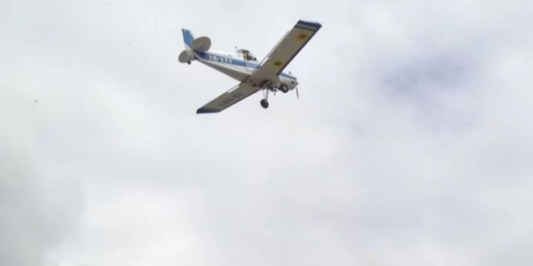 Aeronave privada New York: tragedia aérea en las montañas Catskills