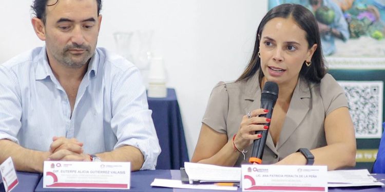 Ana Paty Peralta participa en el Consejo Consultivo de Turismo de Quintana Roo 2025