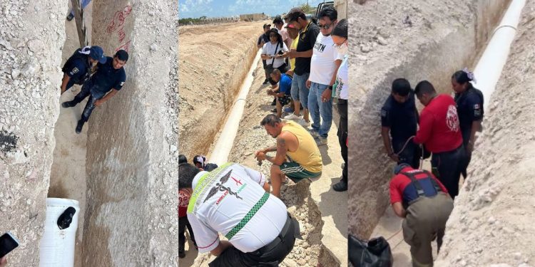 Ladrones quedan atorados dentro de una tubería en Prado Norte en Cancún