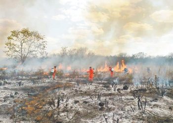 Registran 217 incendios en Cancún en solo dos semanas