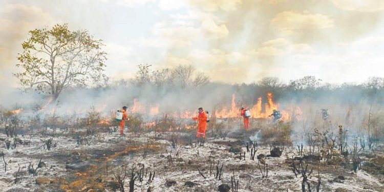 Registran 217 incendios en Cancún en solo dos semanas