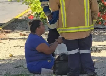 Tragedia en Chetumal Explosion de granada de gas hiere a mujer