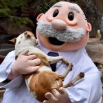 ¿Qué animales atenderán en Simi Pet Care?