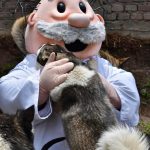 ¿Qué animales atenderán en Simi Pet Care?
