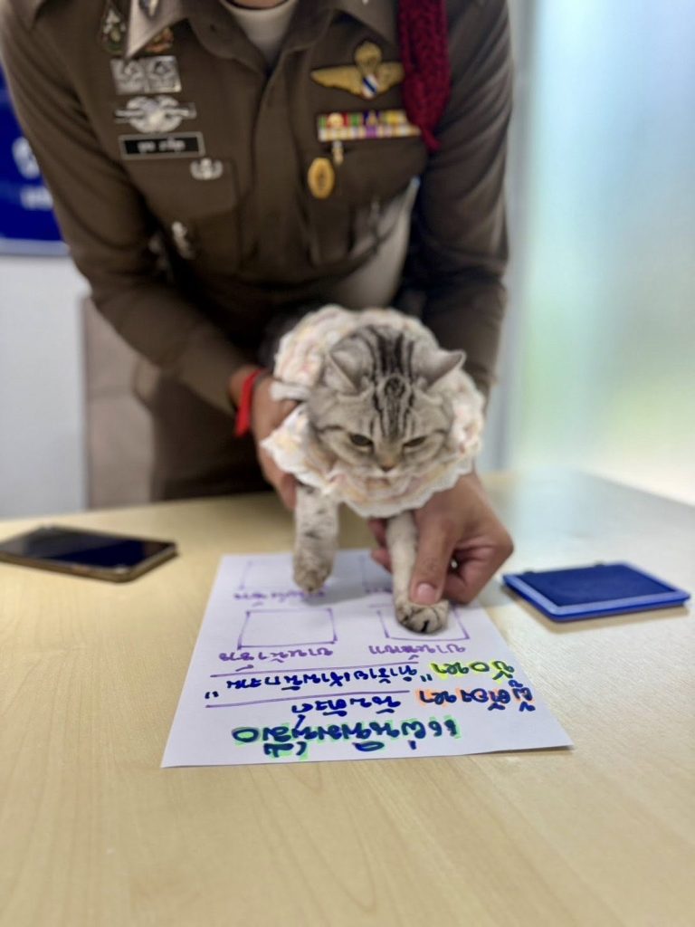 Arrestan a gatita por morder a Policías en Bangkok, Tailandia