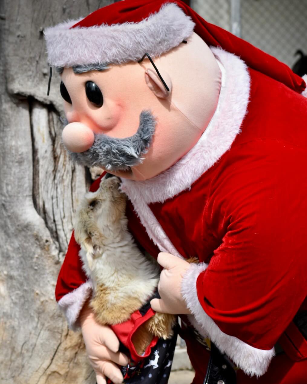 ¿Cuándo debo llevar a mi mascota a un Simi Pet?