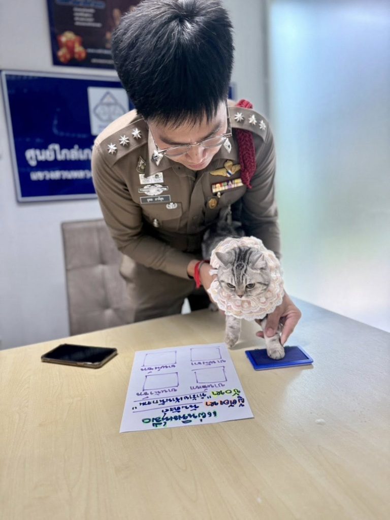 Arrestan a gatita por morder a Policías en Bangkok, Tailandia