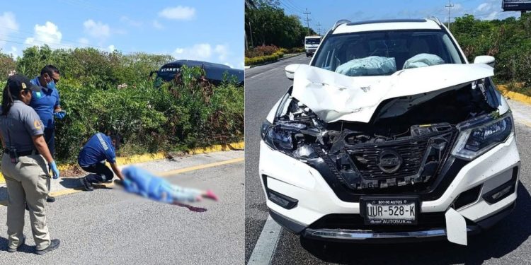 Atropellan a un sujeto en la Carretera Federal 307 en Akumal