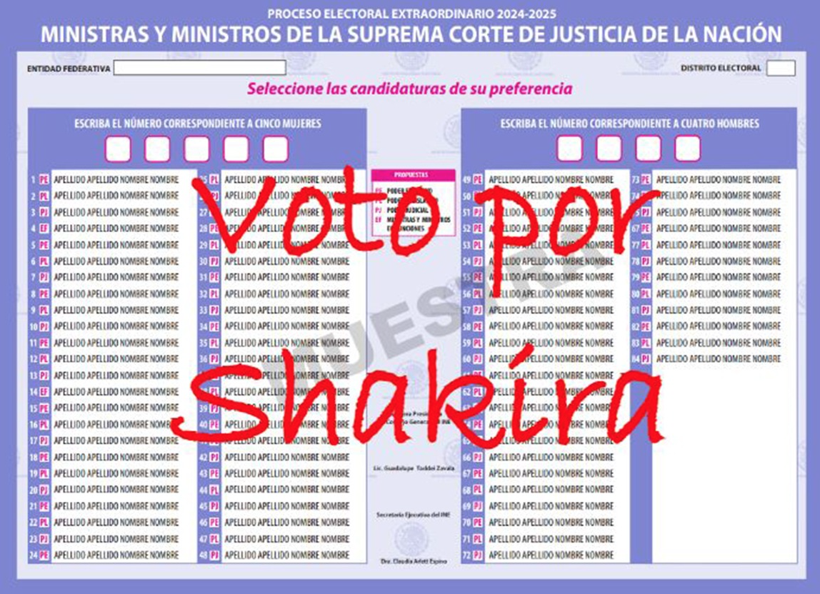 ¿Cómo lograr que tu voto sea válido en las Elecciones 2025?