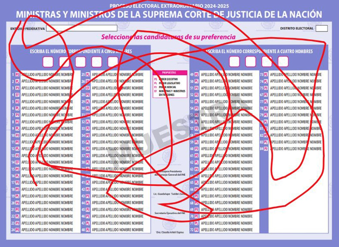 ¿Cómo lograr que tu voto sea válido en las Elecciones 2025?