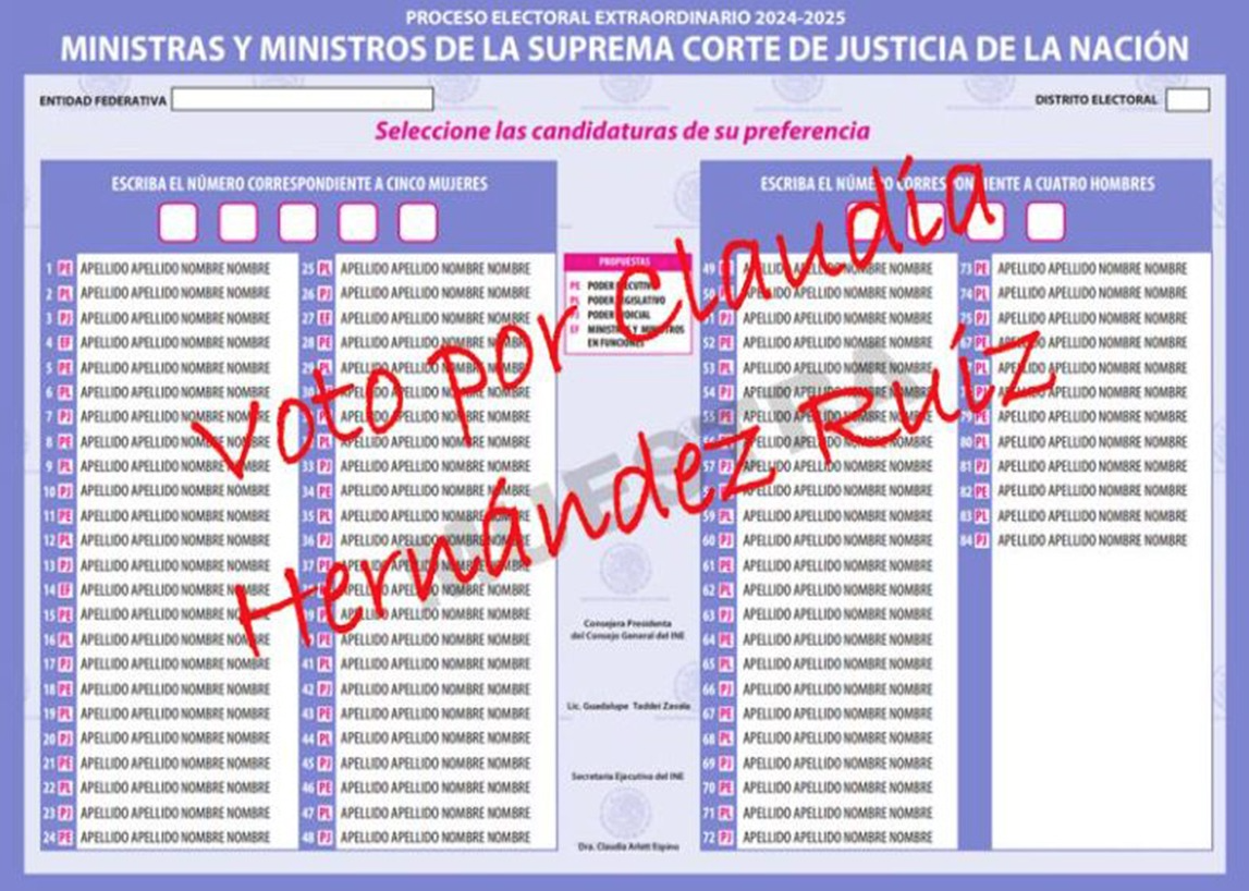 ¿Cómo lograr que tu voto sea válido en las Elecciones 2025?