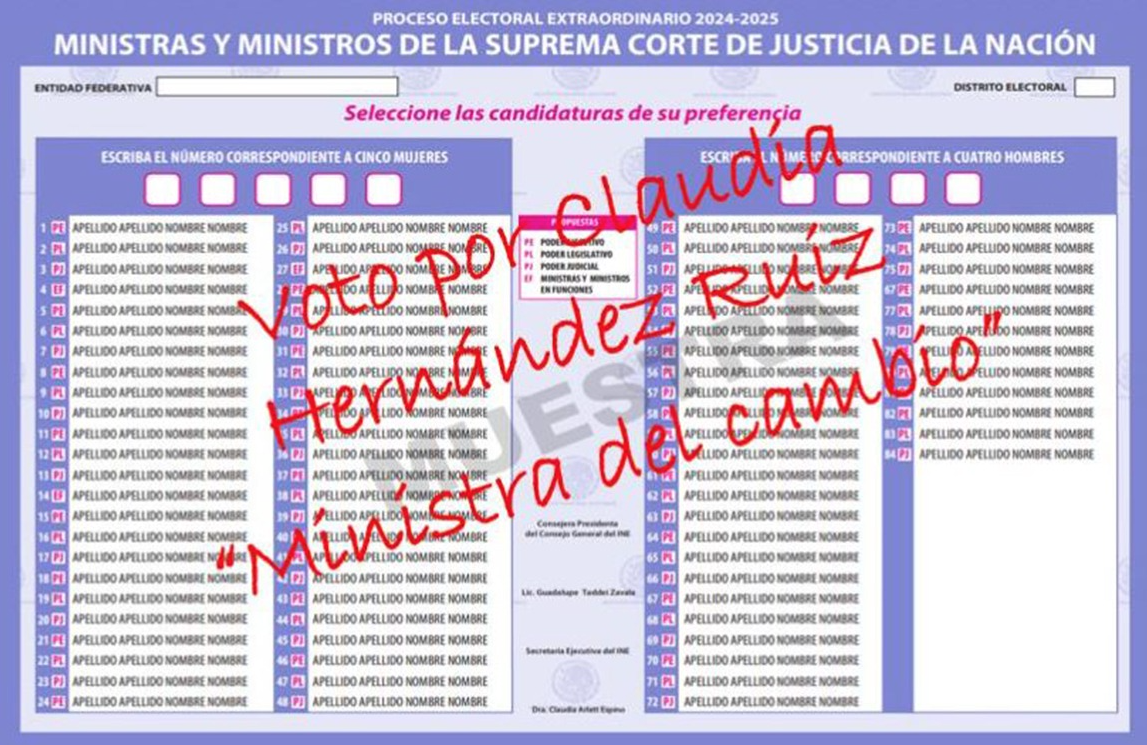 ¿Cómo lograr que tu voto sea válido en las Elecciones 2025?