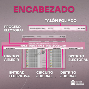 ¿Cómo votar en la Elección Judicial 2025?