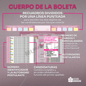¿Cómo votar en la Elección Judicial 2025?