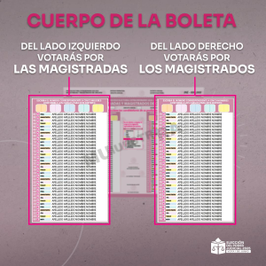 ¿Cómo votar en la Elección Judicial 2025?