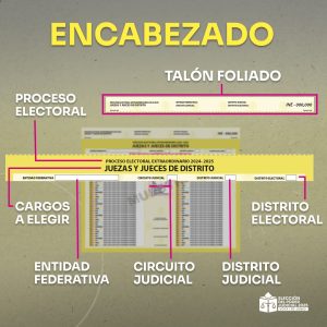 ¿Cómo votar en la Elección Judicial 2025?