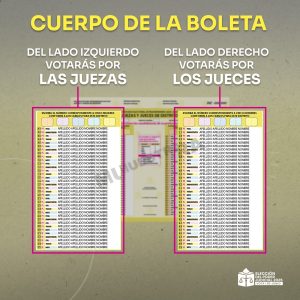 ¿Cómo votar en la Elección Judicial 2025?