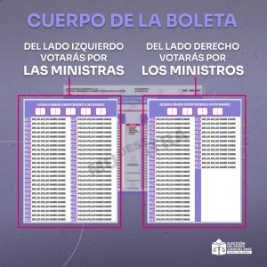 ¿Cómo votar en la Elección Judicial 2025?
