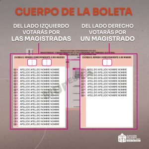¿Cómo votar en la Elección Judicial 2025?