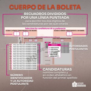 ¿Cómo votar en la Elección Judicial 2025?