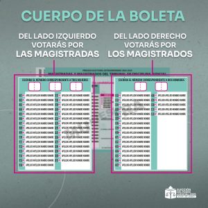 ¿Cómo votar en la Elección Judicial 2025?