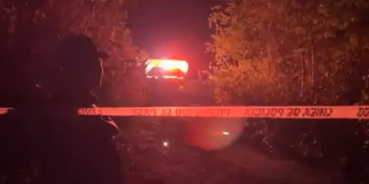 Encuentran cuerpo con signos de tortura en la colonia ‘El Pedregal’ de Cancún