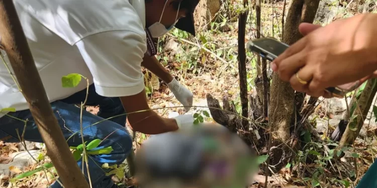 Hallan cadáveres de mascotas en basurero clandestino de Cancún
