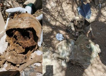 Madres buscadoras localizan 6 cuerpos en fosas clandestinas en Hermosillo