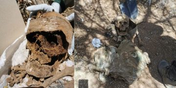 Madres buscadoras localizan 6 cuerpos en fosas clandestinas en Hermosillo