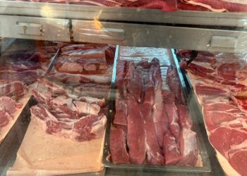 Alerta Ganadera Gusano Barrenador Dispara el Precio de la Carne