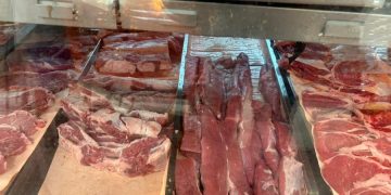 Alerta Ganadera Gusano Barrenador Dispara el Precio de la Carne
