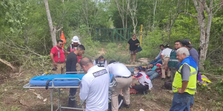Trabajadores del Tren Maya Resultan Heridos en Chetumal
