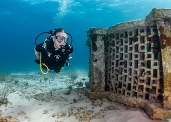 Descubre Museo Subacuatico de Cancun y Sus Precios