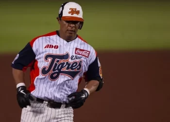 Los tigres de Quintana Roo