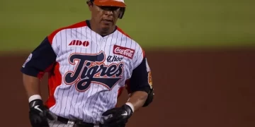 Los tigres de Quintana Roo