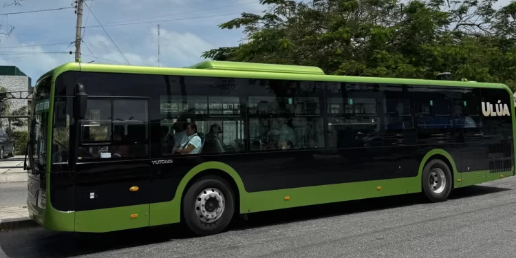 Nuevo transporte público en Cancún con autobuses eléctricos