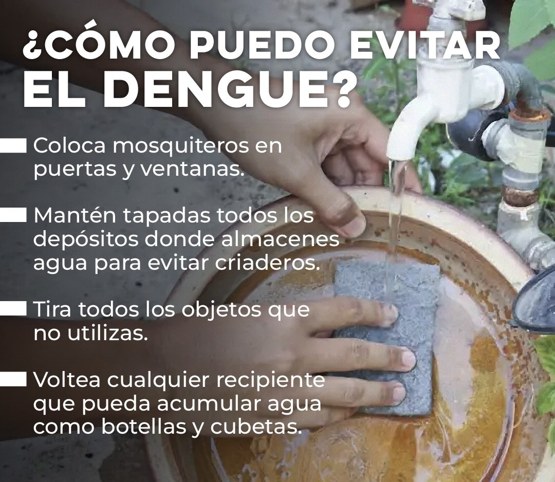 Recomendaciones clave para prevenir el dengue desde casa