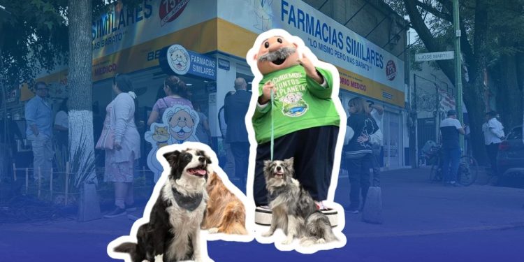 Atención veterinaria a bajo costo ya disponible
