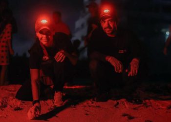 Ana Paty Peralta impulsa gran liberación de tortugas marinas
