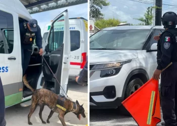 Ataque armado en joyería de Puerto Morelos hiere a un policía