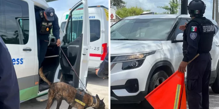 Ataque armado en joyería de Puerto Morelos hiere a un policía