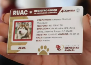 CURP para Mascotas: Tu Peludo Ya Tiene Identidad