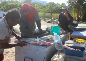 Impulsan reforma para penalizar la pesca ilegal en Yucatán con 9 años de cárcel