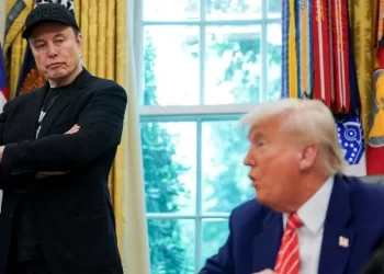 “La verdad sale a la luz”: Musk revela que Trump está en archivos de Epstein
