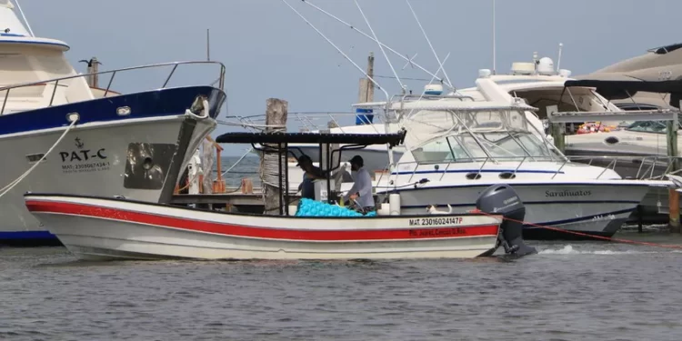 Sector náutico de Quintana Roo enfrenta retos por condiciones climáticas