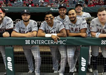 Trayectoria profesional de los Tigres de Quintana Roo en la LMB