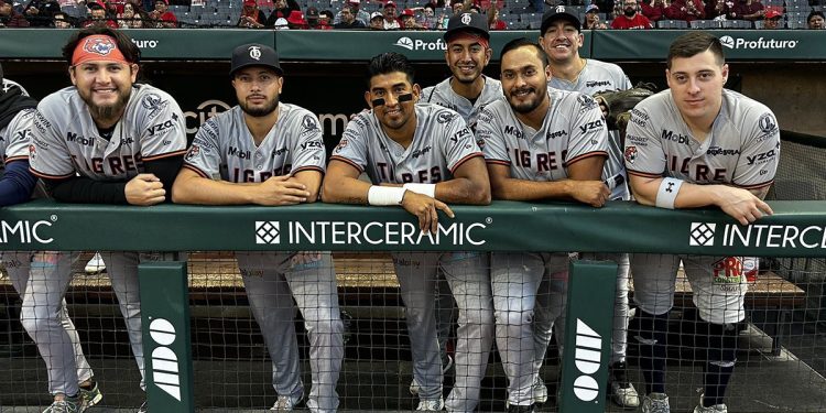 Trayectoria profesional de los Tigres de Quintana Roo en la LMB