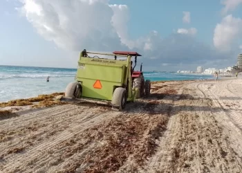 Cancún se suma a limpieza simultánea de sargazo