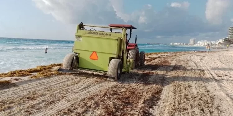 Cancún se suma a limpieza simultánea de sargazo