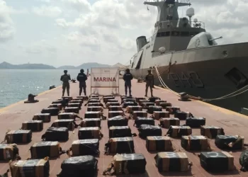 Cargamento de droga en Guerrero ha sido asegurado